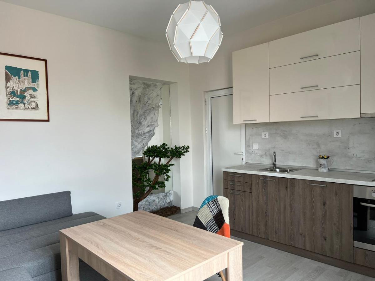 Vitosha 60 Apartment Sofia Bagian luar foto