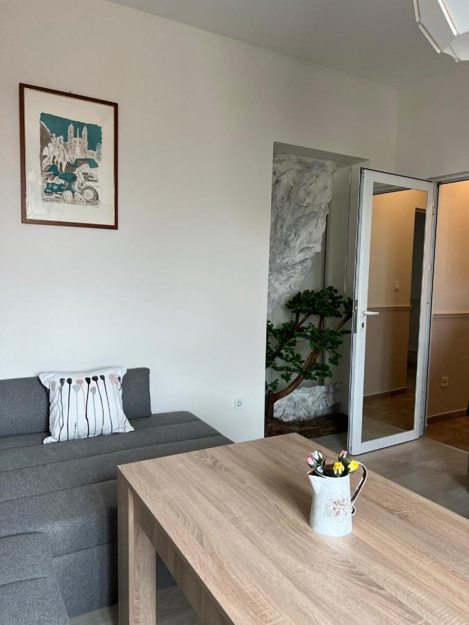 Vitosha 60 Apartment Sofia Bagian luar foto